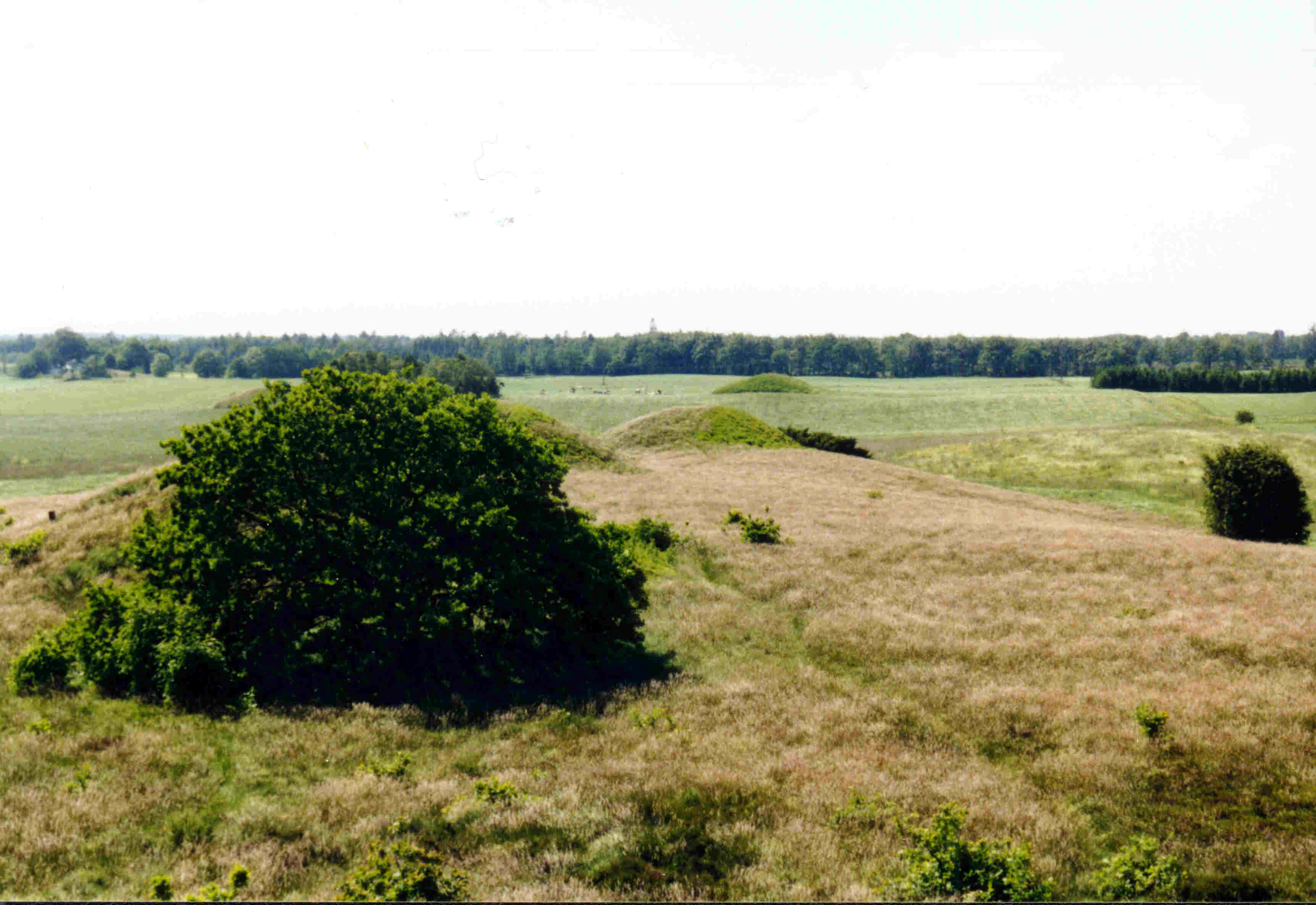 Blick über die Heide
